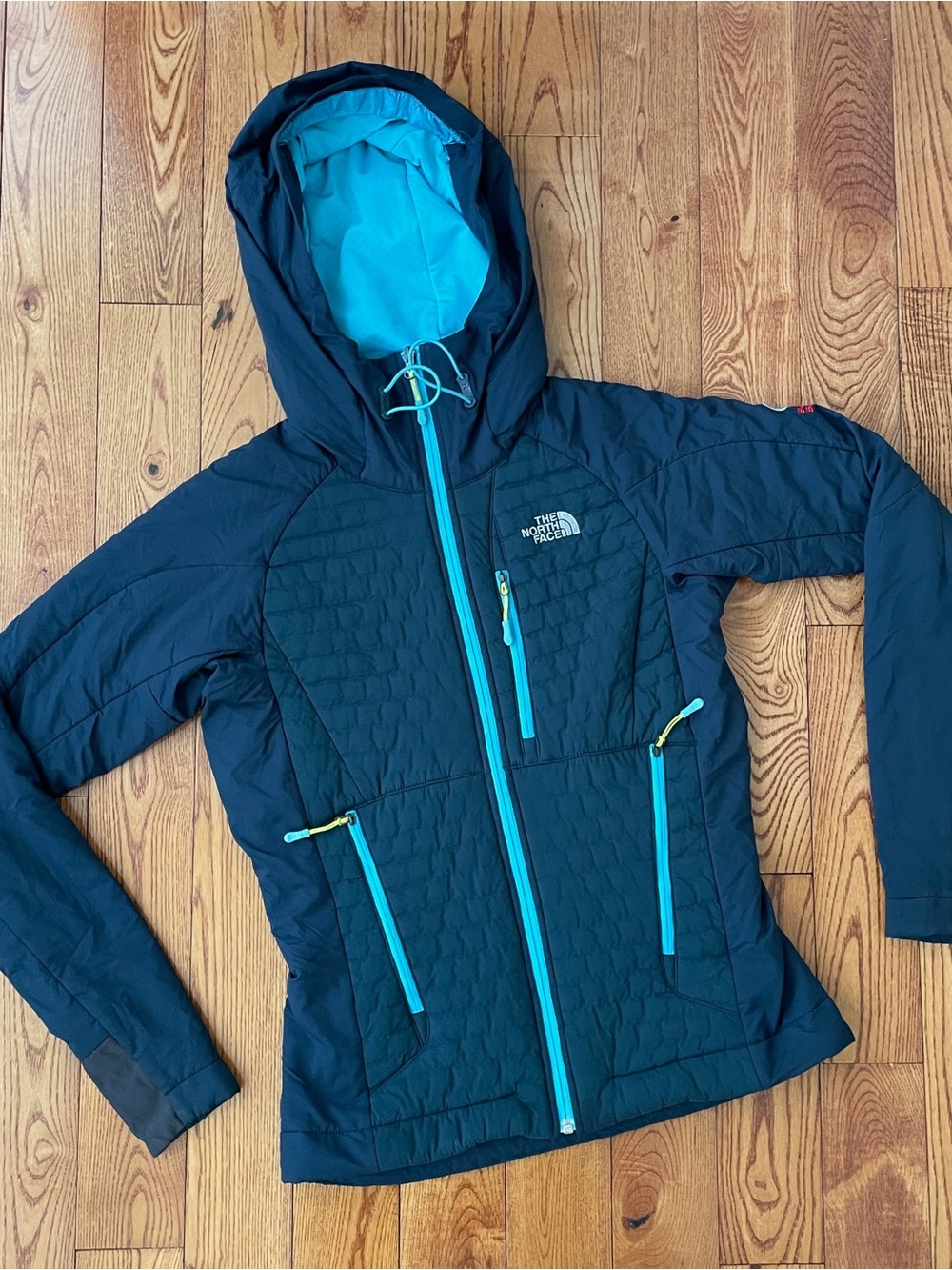The North Face Summit Series Polar Hooded Jacket
